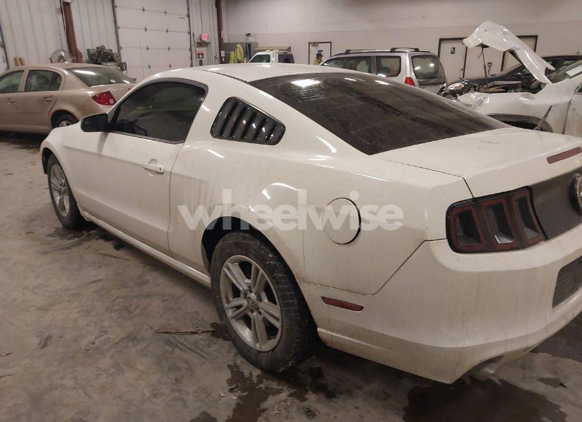 Photo 3 of 2013 Ford Mustang V6 (VIN 1ZVBP8AM0D5281131)