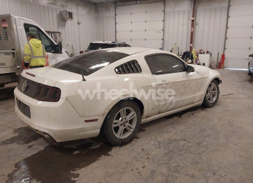 Photo 4 of 2013 Ford Mustang V6 (VIN 1ZVBP8AM0D5281131)