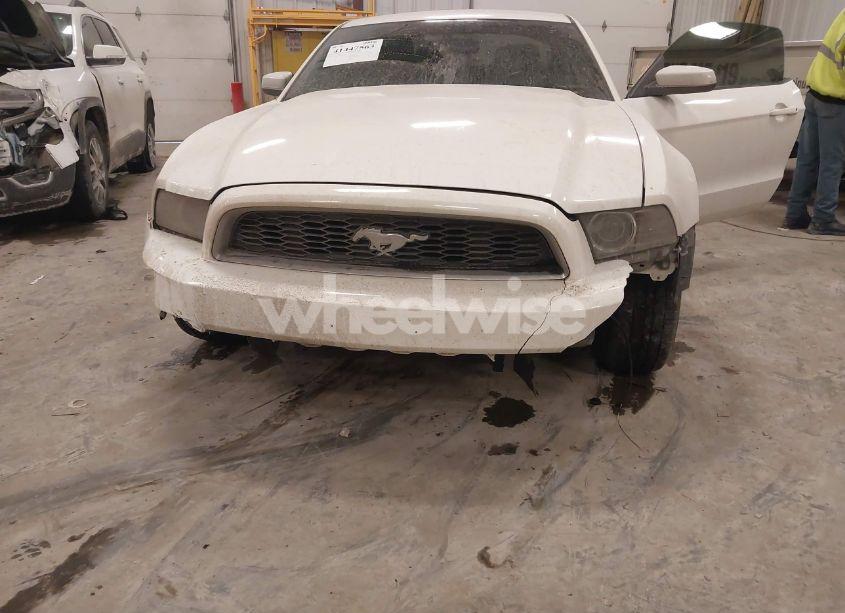 Photo 6 of 2013 Ford Mustang V6 (VIN 1ZVBP8AM0D5281131)