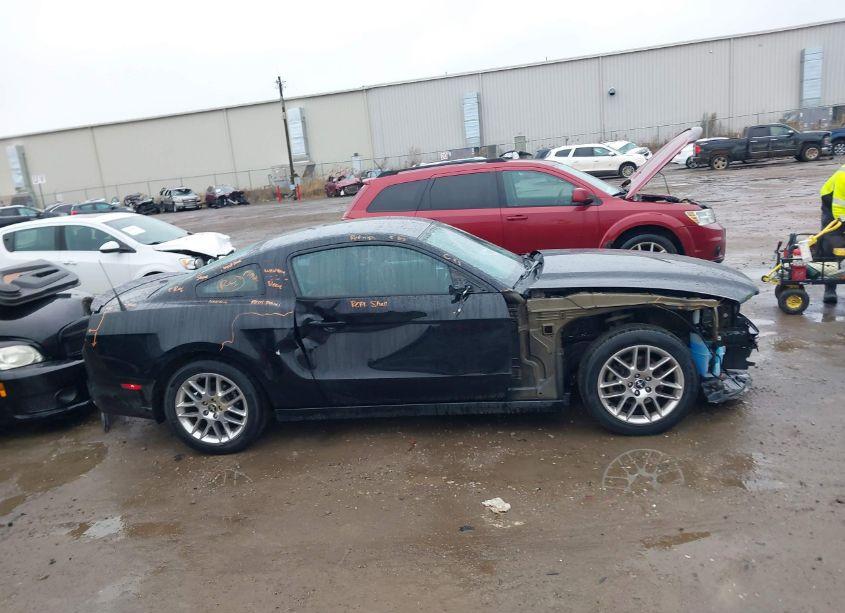 Photo 13 of 2014 Ford Mustang V6 PREMIUM (VIN 1ZVBP8AM0E5212313)