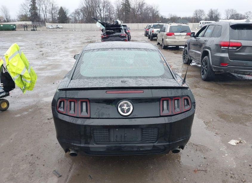 Photo 16 of 2014 Ford Mustang V6 PREMIUM (VIN 1ZVBP8AM0E5212313)