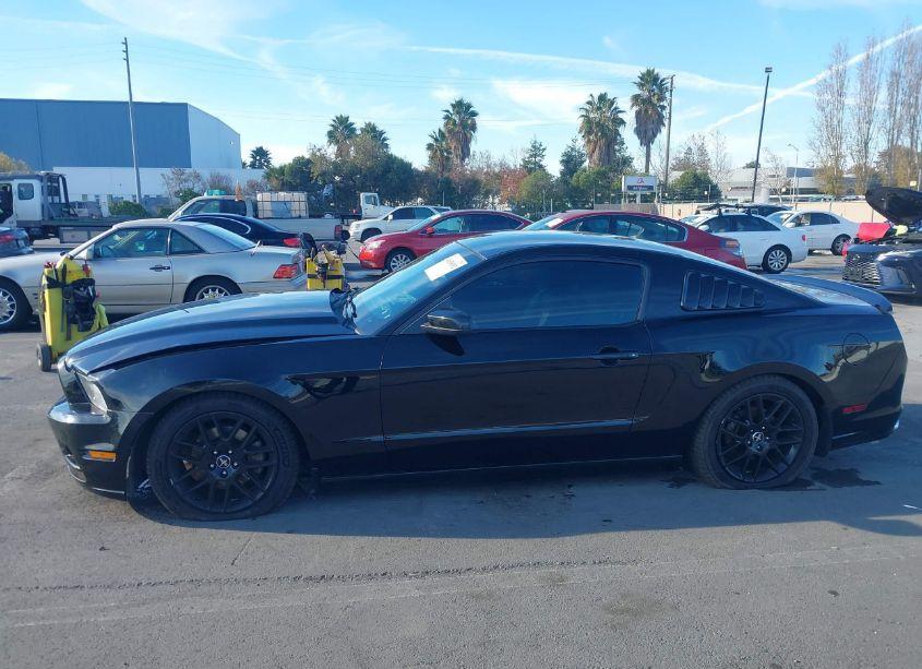 Photo 15 of 2014 Ford Mustang V6 (VIN 1ZVBP8AM0E5215437)