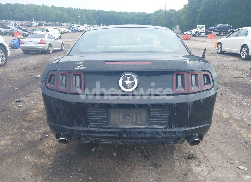 Photo 16 of 2014 Ford Mustang V6 (VIN 1ZVBP8AM0E5218029)
