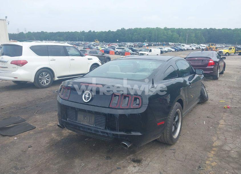 Photo 4 of 2014 Ford Mustang V6 (VIN 1ZVBP8AM0E5218029)