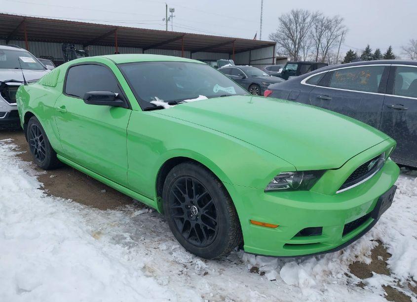 2014 Ford Mustang V6 (VIN 1ZVBP8AM0E5226177) main photo