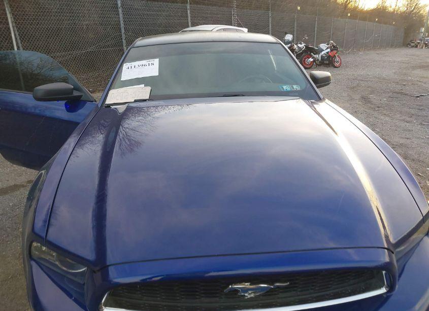 Photo 10 of 2014 Ford Mustang V6 (VIN 1ZVBP8AM0E5256358)