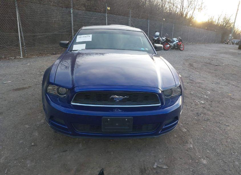 Photo 12 of 2014 Ford Mustang V6 (VIN 1ZVBP8AM0E5256358)