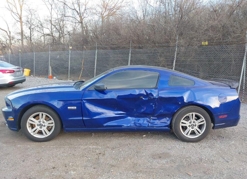 Photo 14 of 2014 Ford Mustang V6 (VIN 1ZVBP8AM0E5256358)