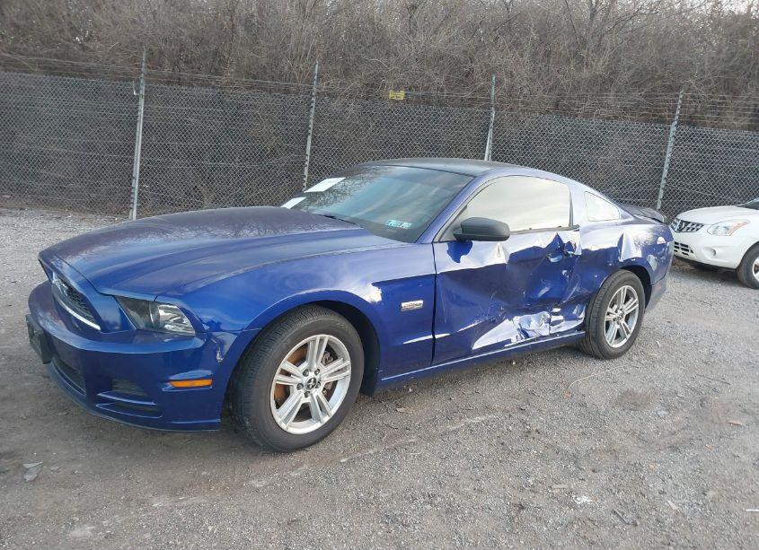 Photo 2 of 2014 Ford Mustang V6 (VIN 1ZVBP8AM0E5256358)