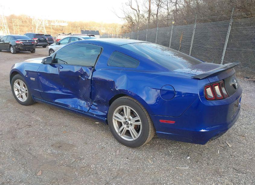 Photo 3 of 2014 Ford Mustang V6 (VIN 1ZVBP8AM0E5256358)