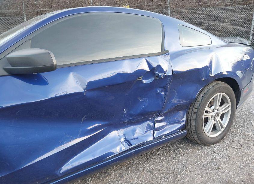 Photo 6 of 2014 Ford Mustang V6 (VIN 1ZVBP8AM0E5256358)