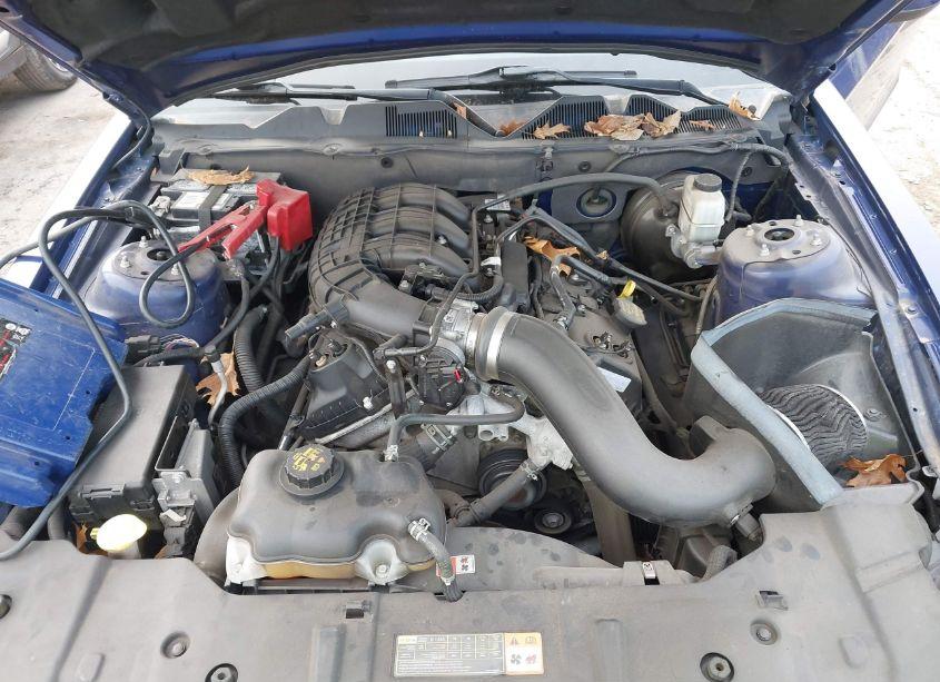 Photo 10 of 2014 Ford Mustang V6 PREMIUM (VIN 1ZVBP8AM0E5258725)