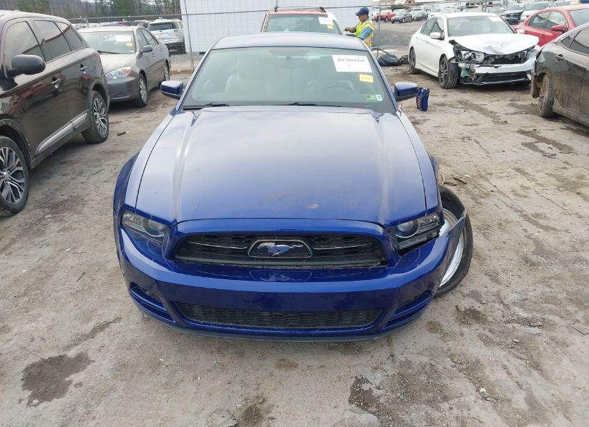 Photo 12 of 2014 Ford Mustang V6 PREMIUM (VIN 1ZVBP8AM0E5258725)