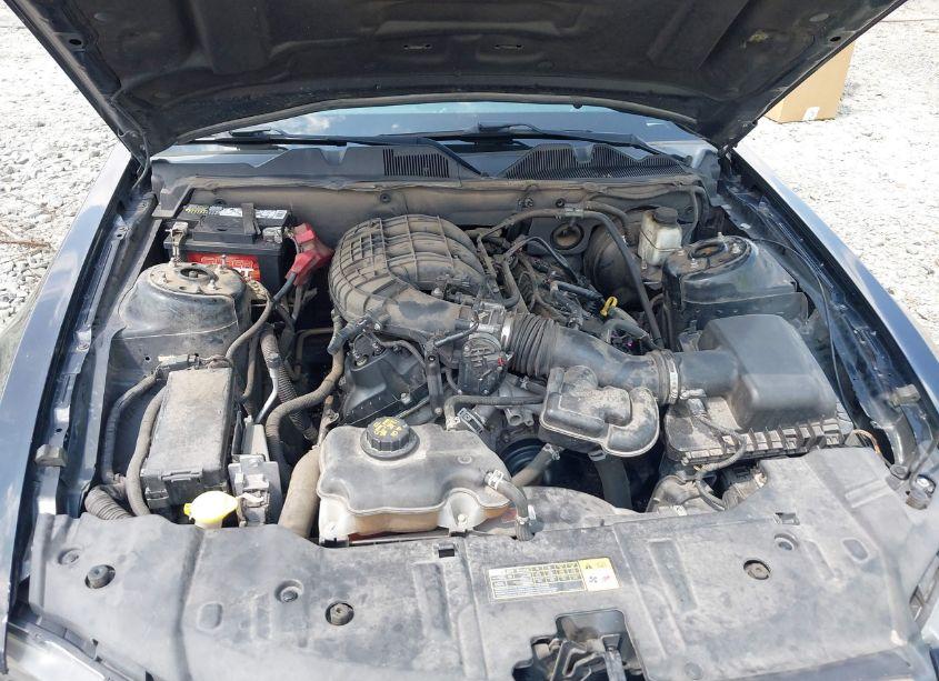 Photo 10 of 2014 Ford Mustang V6 (VIN 1ZVBP8AM0E5320432)