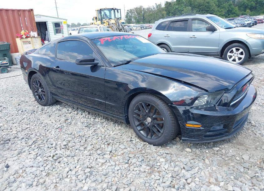 Photo 3 of 2014 Ford Mustang V6 (VIN 1ZVBP8AM0E5320432)