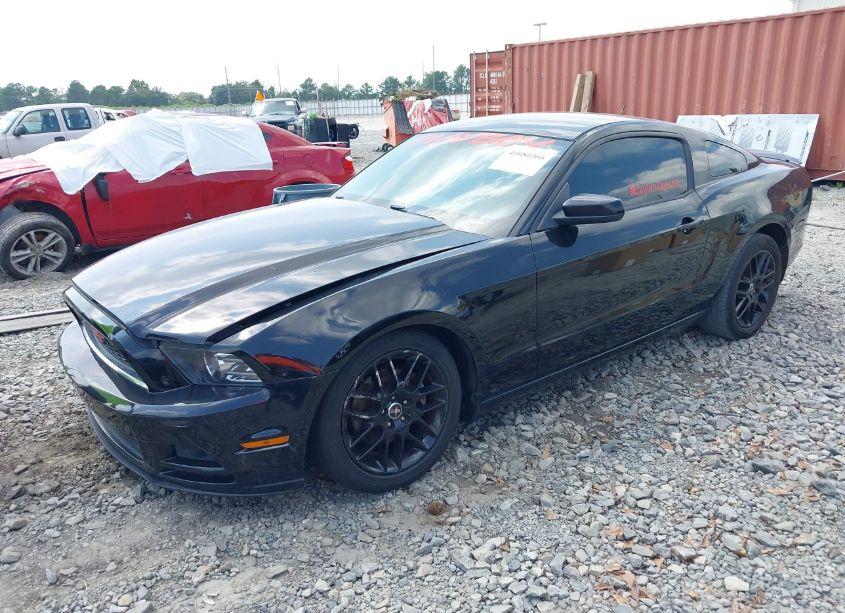 Photo 4 of 2014 Ford Mustang V6 (VIN 1ZVBP8AM0E5320432)