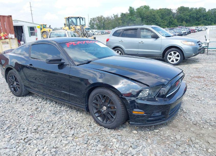 Photo 6 of 2014 Ford Mustang V6 (VIN 1ZVBP8AM0E5320432)