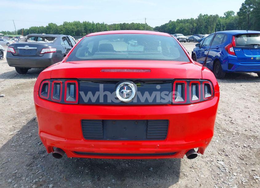 Photo 17 of 2014 Ford Mustang V6 (VIN 1ZVBP8AM0E5324254)