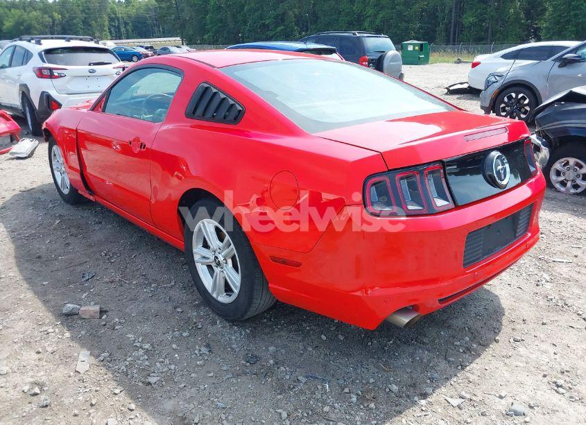 Photo 3 of 2014 Ford Mustang V6 (VIN 1ZVBP8AM0E5324254)