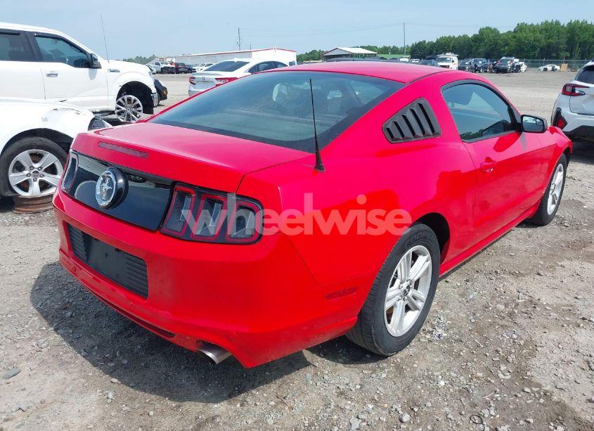 Photo 4 of 2014 Ford Mustang V6 (VIN 1ZVBP8AM0E5324254)