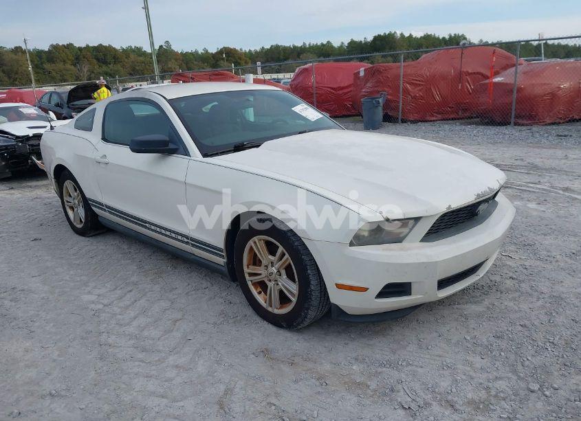 2011 Ford Mustang V6 (VIN 1ZVBP8AM1B5108456) main photo