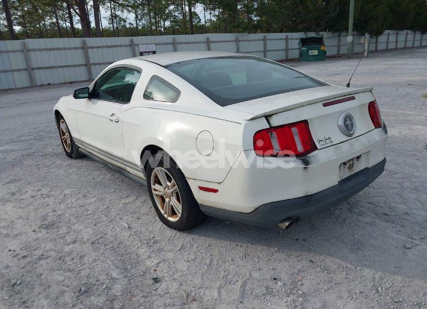 Photo 3 of 2011 Ford Mustang V6 (VIN 1ZVBP8AM1B5108456)