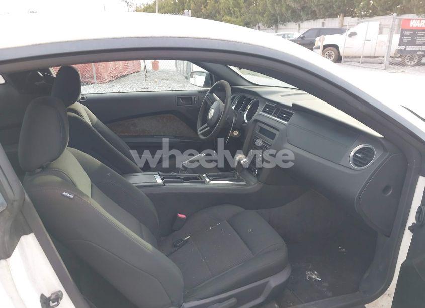 Photo 5 of 2011 Ford Mustang V6 (VIN 1ZVBP8AM1B5108456)