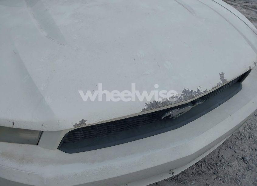 Photo 6 of 2011 Ford Mustang V6 (VIN 1ZVBP8AM1B5108456)