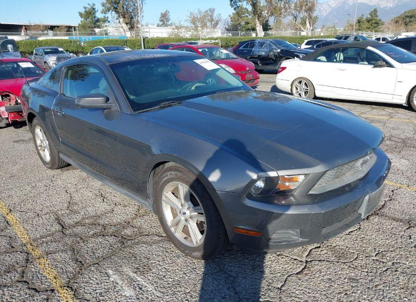 2011 Ford Mustang V6 (VIN 1ZVBP8AM1B5125869) main photo
