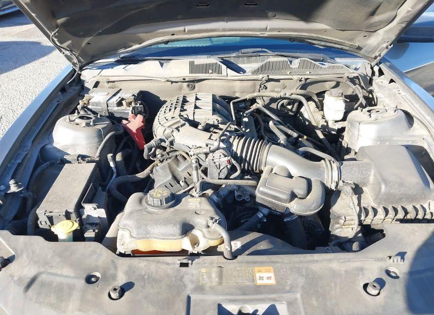 Photo 10 of 2011 Ford Mustang V6 (VIN 1ZVBP8AM1B5125869)