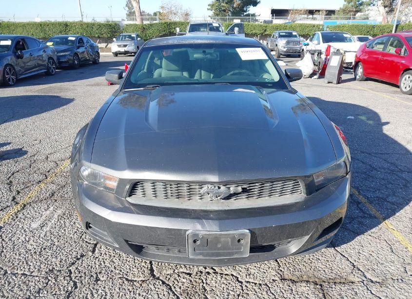 Photo 12 of 2011 Ford Mustang V6 (VIN 1ZVBP8AM1B5125869)