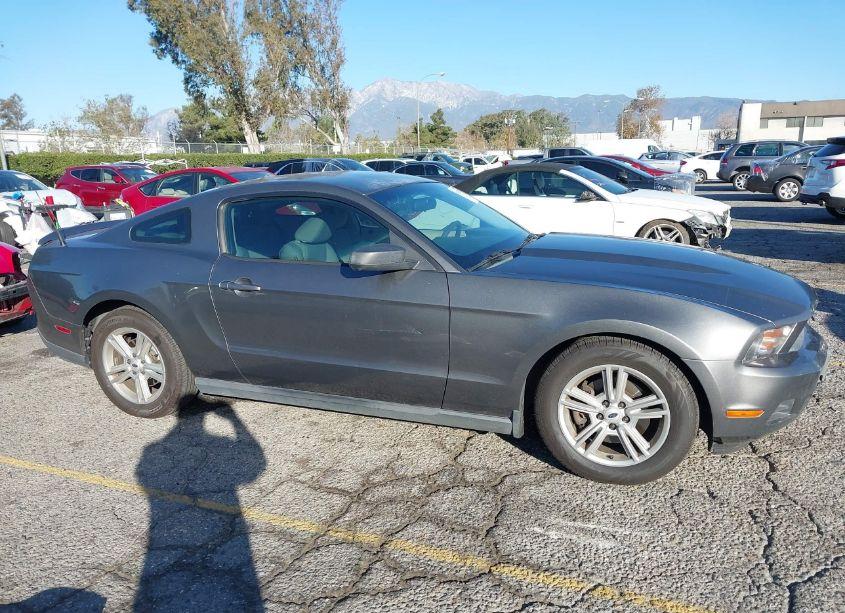 Photo 13 of 2011 Ford Mustang V6 (VIN 1ZVBP8AM1B5125869)