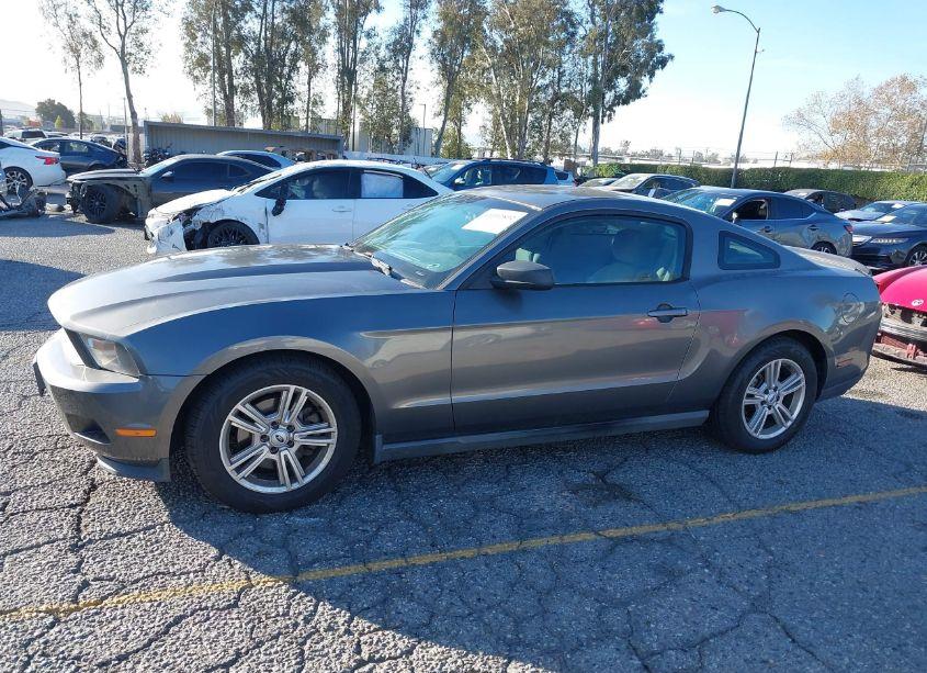 Photo 14 of 2011 Ford Mustang V6 (VIN 1ZVBP8AM1B5125869)