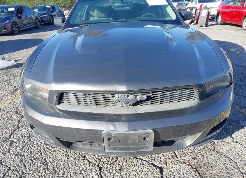 Photo 6 of 2011 Ford Mustang V6 (VIN 1ZVBP8AM1B5125869)