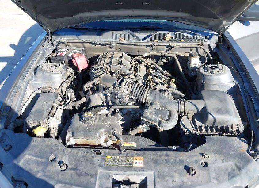 Photo 10 of 2011 Ford Mustang V6 (VIN 1ZVBP8AM1B5137956)