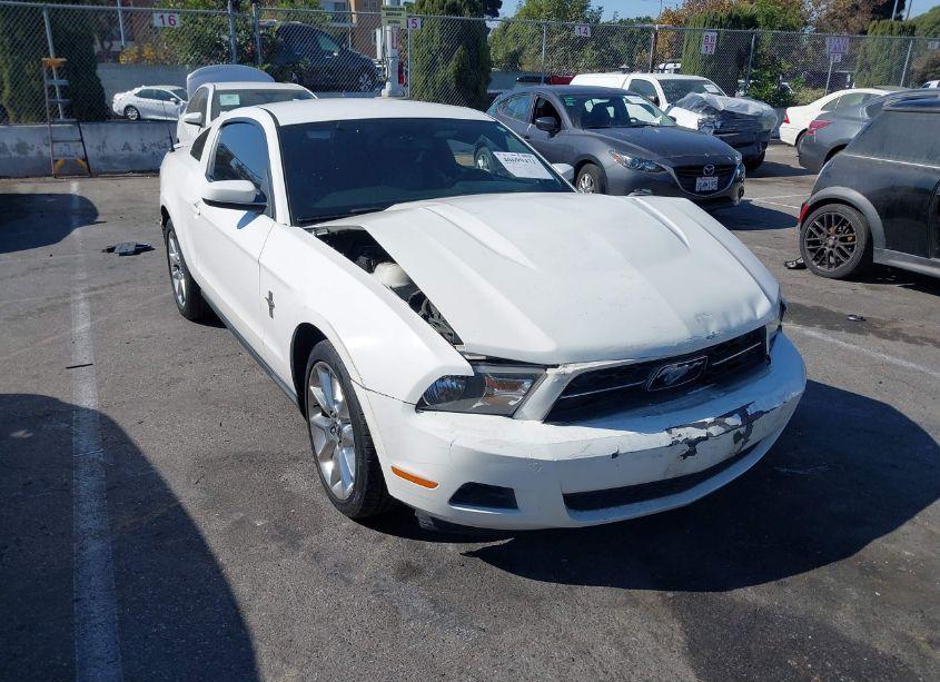 2011 Ford Mustang V6 PREMIUM (VIN 1ZVBP8AM1B5159004) main photo
