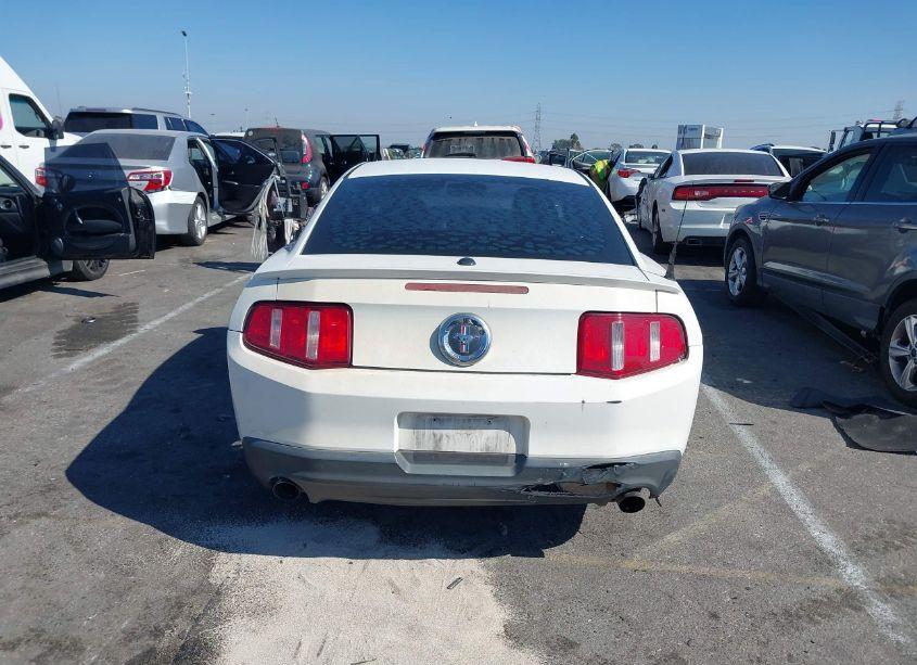 Photo 16 of 2011 Ford Mustang V6 PREMIUM (VIN 1ZVBP8AM1B5159004)
