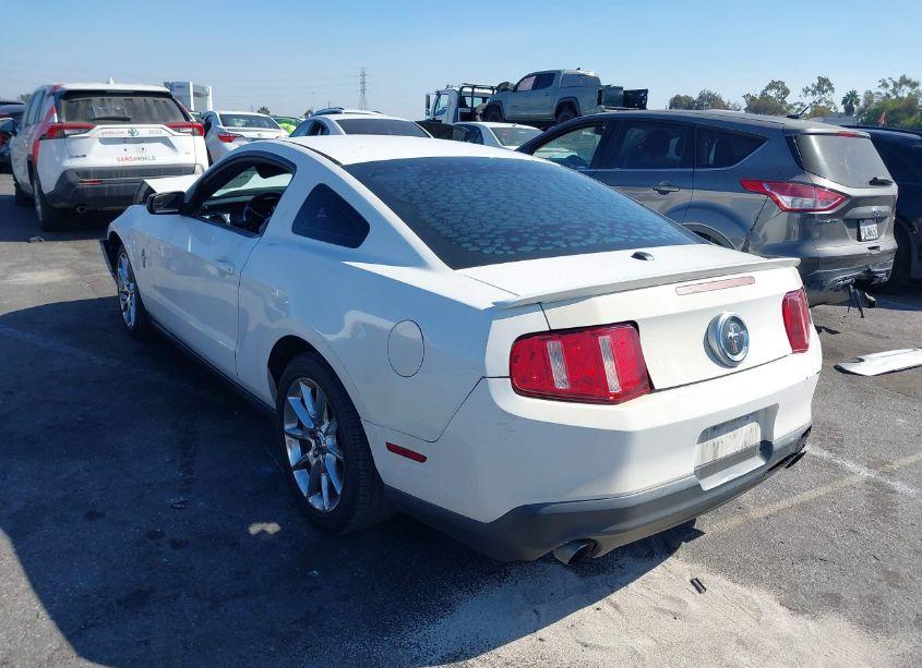 Photo 3 of 2011 Ford Mustang V6 PREMIUM (VIN 1ZVBP8AM1B5159004)