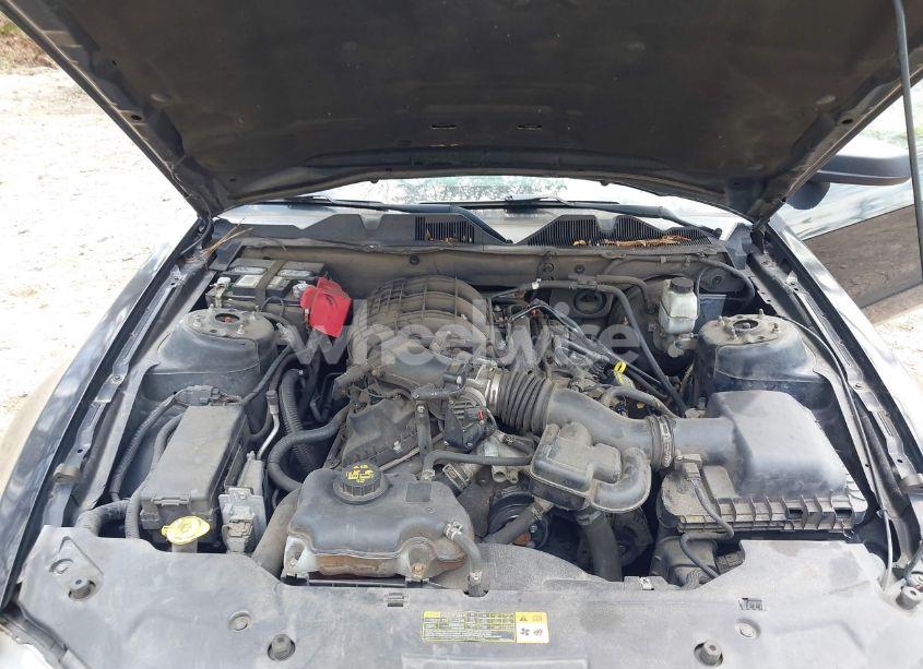 Photo 10 of 2012 Ford Mustang V6 (VIN 1ZVBP8AM1C5205321)