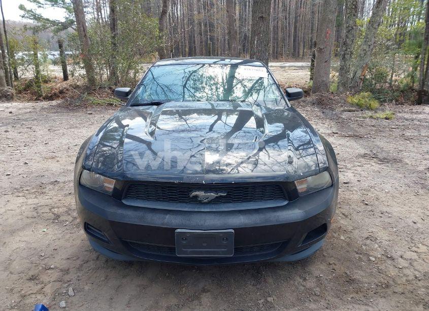 Photo 12 of 2012 Ford Mustang V6 (VIN 1ZVBP8AM1C5205321)