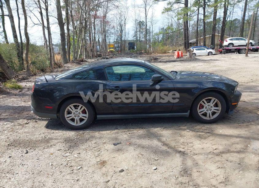 Photo 13 of 2012 Ford Mustang V6 (VIN 1ZVBP8AM1C5205321)