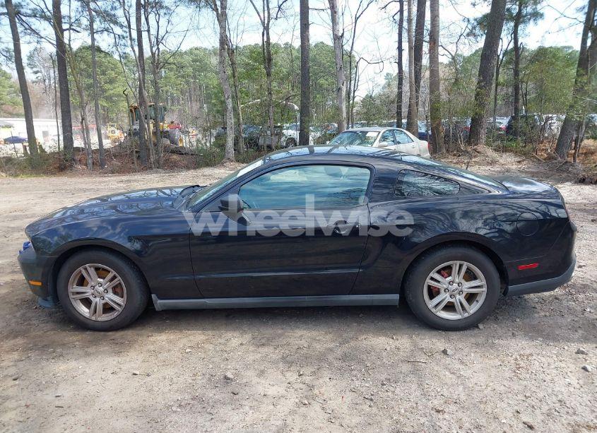 Photo 14 of 2012 Ford Mustang V6 (VIN 1ZVBP8AM1C5205321)