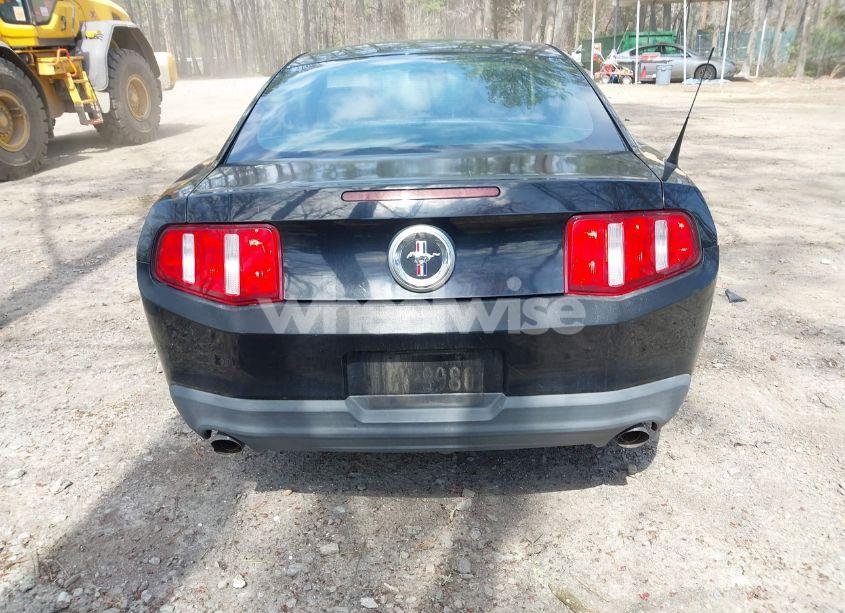 Photo 16 of 2012 Ford Mustang V6 (VIN 1ZVBP8AM1C5205321)