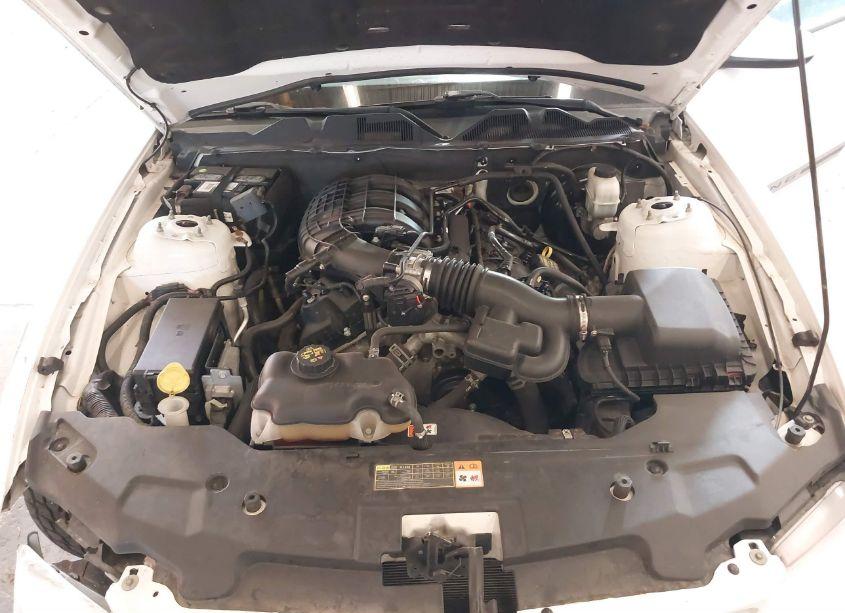 Photo 10 of 2012 Ford Mustang V6 PREMIUM (VIN 1ZVBP8AM1C5235726)