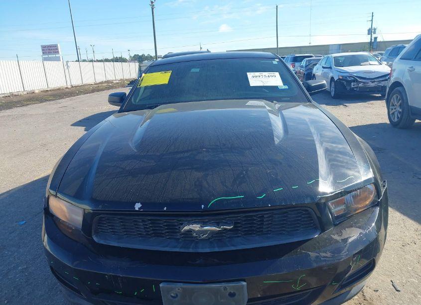 Photo 12 of 2012 Ford Mustang V6 (VIN 1ZVBP8AM1C5258794)