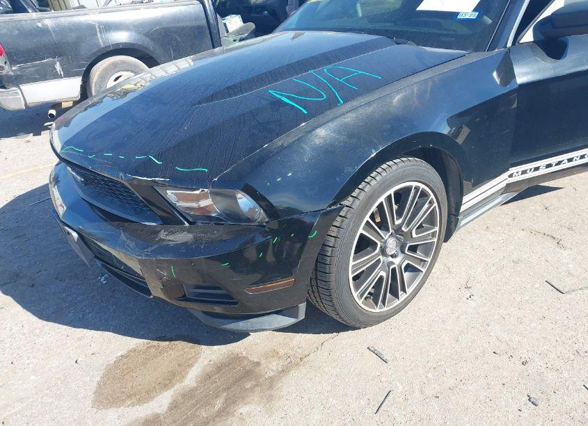 Photo 6 of 2012 Ford Mustang V6 (VIN 1ZVBP8AM1C5258794)