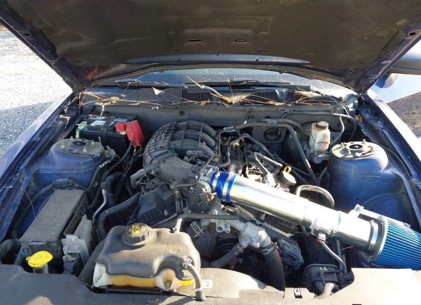 Photo 10 of 2012 Ford Mustang V6 (VIN 1ZVBP8AM1C5280133)