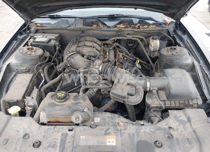 Photo 10 of 2013 Ford Mustang V6 PREMIUM (VIN 1ZVBP8AM1D5217163)