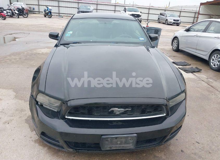 Photo 12 of 2013 Ford Mustang V6 PREMIUM (VIN 1ZVBP8AM1D5217163)