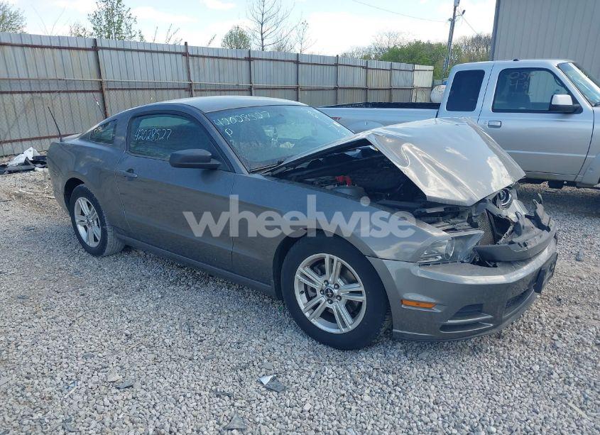 2013 Ford Mustang V6 (VIN 1ZVBP8AM1D5261762) main photo